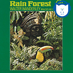 mini-rainforest-nanu