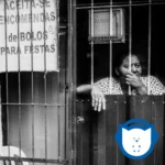Ouça Aquelas Coisa, de Camaleônica, um clamor à união popular Imagem_Destaque_0238